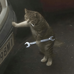 Cat